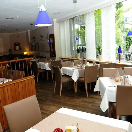 Hotel Dahl 3* Wachtberg