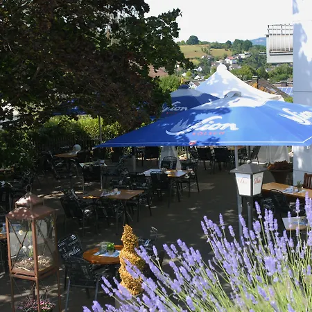 Hotel Dahl 3* Wachtberg